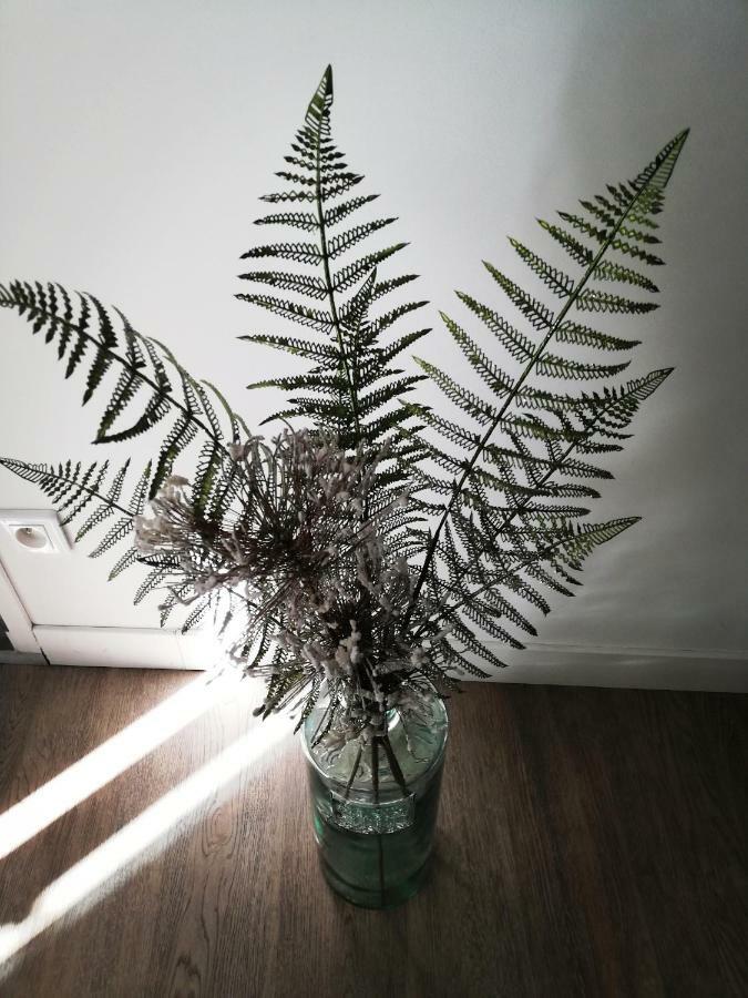 Les Insolites De Champeix מראה חיצוני תמונה